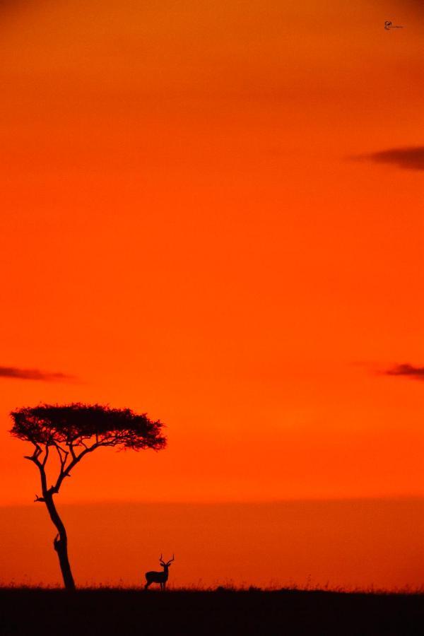 Hotel Lorian Safari Camp Limited Narok Exterior foto
