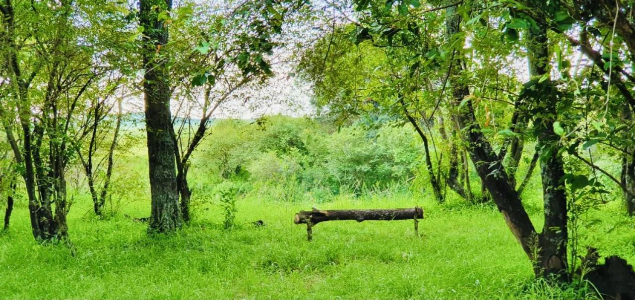 Hotel Lorian Safari Camp Limited Narok Exterior foto